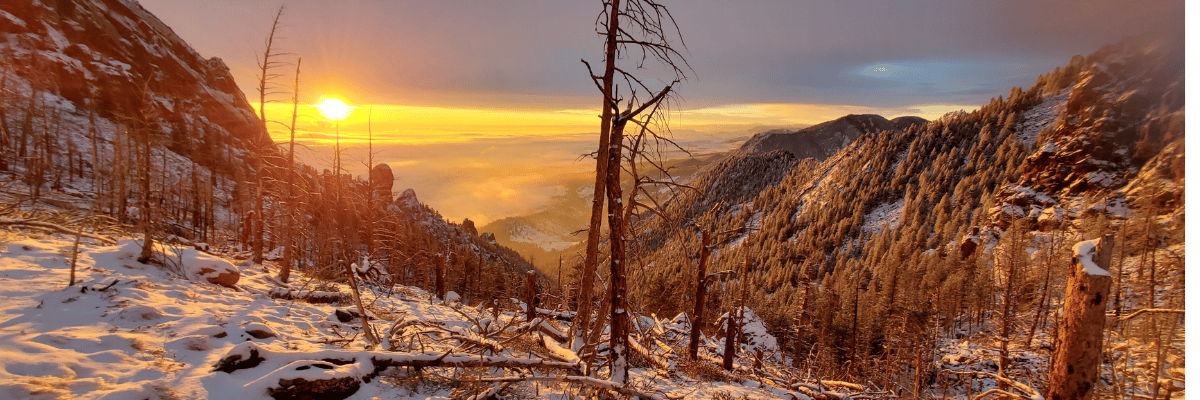 On Being Named a PSF Fellow